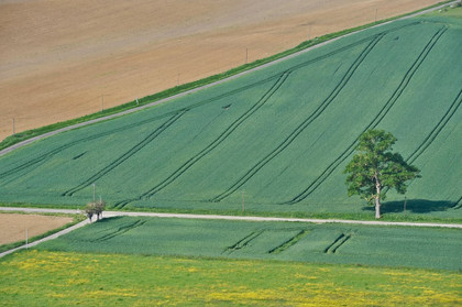 Benoît Biteau : le cercle vertueux de l'agroécologie