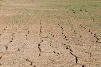 Les incertitudes climatiques et l’agroécologie -