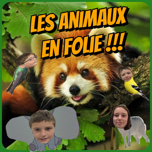 Épisode Mercredi ! Les animaux en folie de l'émission Mercredi !