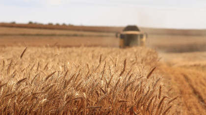L’UE rétablit les quotas et les tarifs pour les exportations agricoles ukrainiens après trois ans du régime de libre échange