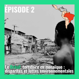 Le Brésil, territoire en mosaïque : disparités et...