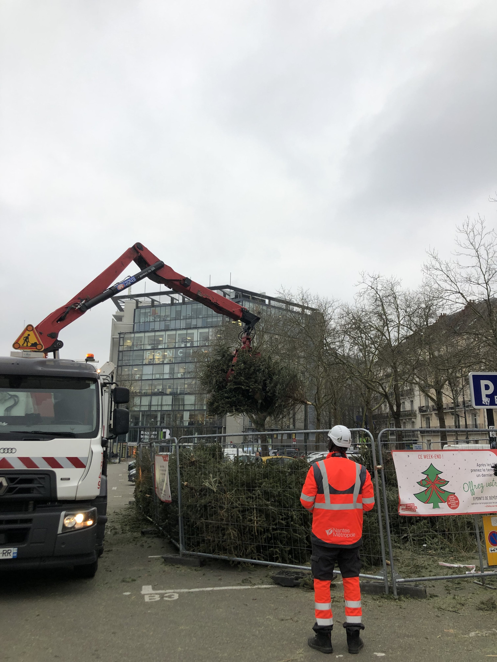 @ Luzie Funke Que faire de son sapin après Noël?