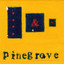 Pinegrove • Problems