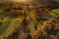 Long terme et agroécologie