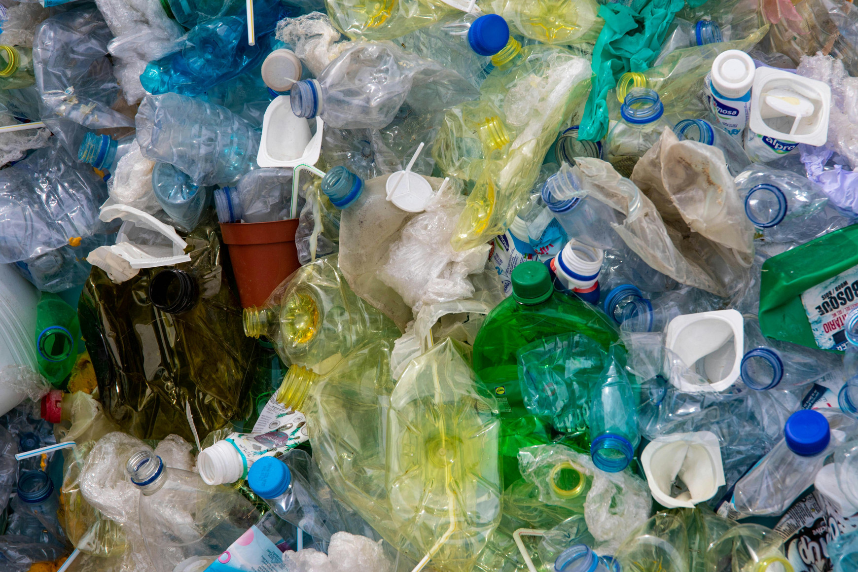 Photo de Magda Ehlers - Pexels La face cachée des déchets plastiques