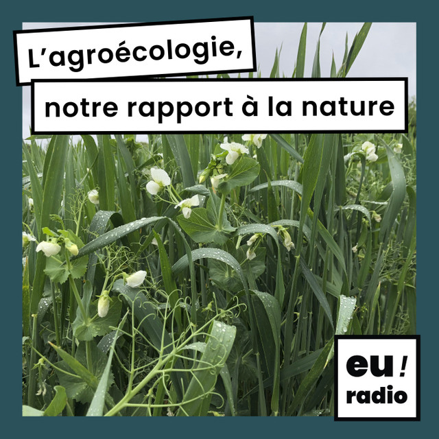 L'agroécologie, notre rapport à la nature
