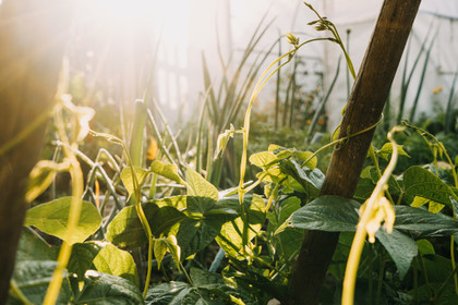 Le nuage de mots de l’agroécologie