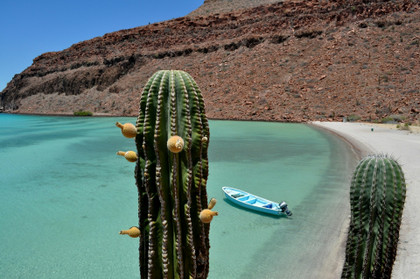 Voyage à Baja California