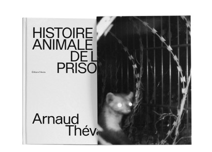 Histoire animale de la prison : quand la nature s'invite dans l'univers carcéral