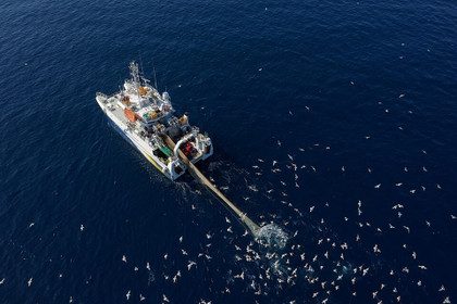 Océans : la France fait signer le traité historique sur la biodiversité marine