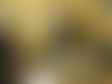L'oeil à l'écoute : Instants Stanois //