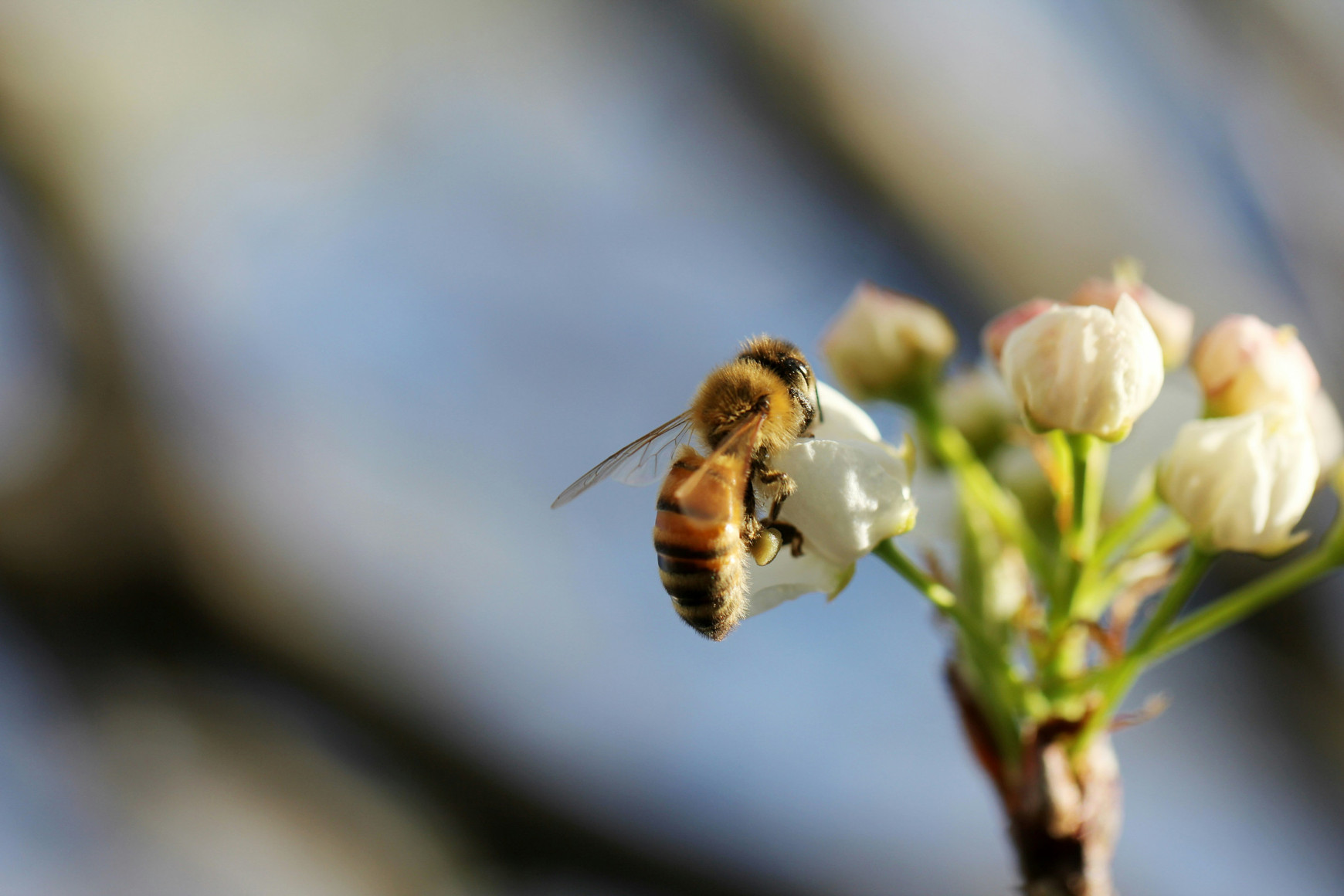 Sandy Millar sur Unsplash Développer et financer l’agroécologie