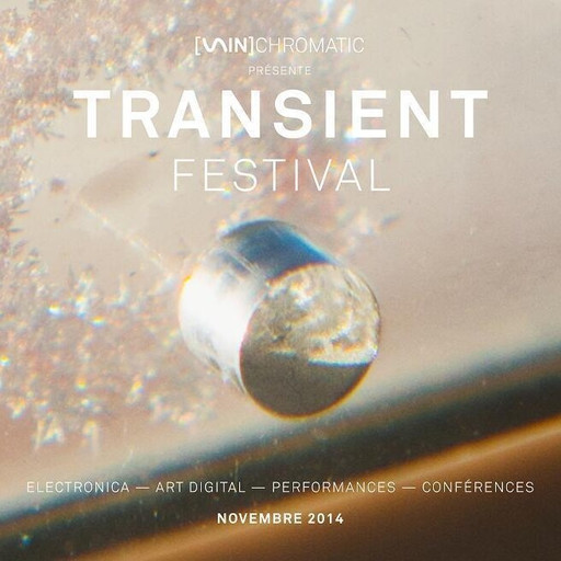 Amplitudes : Spéciale Transient Festival 2014