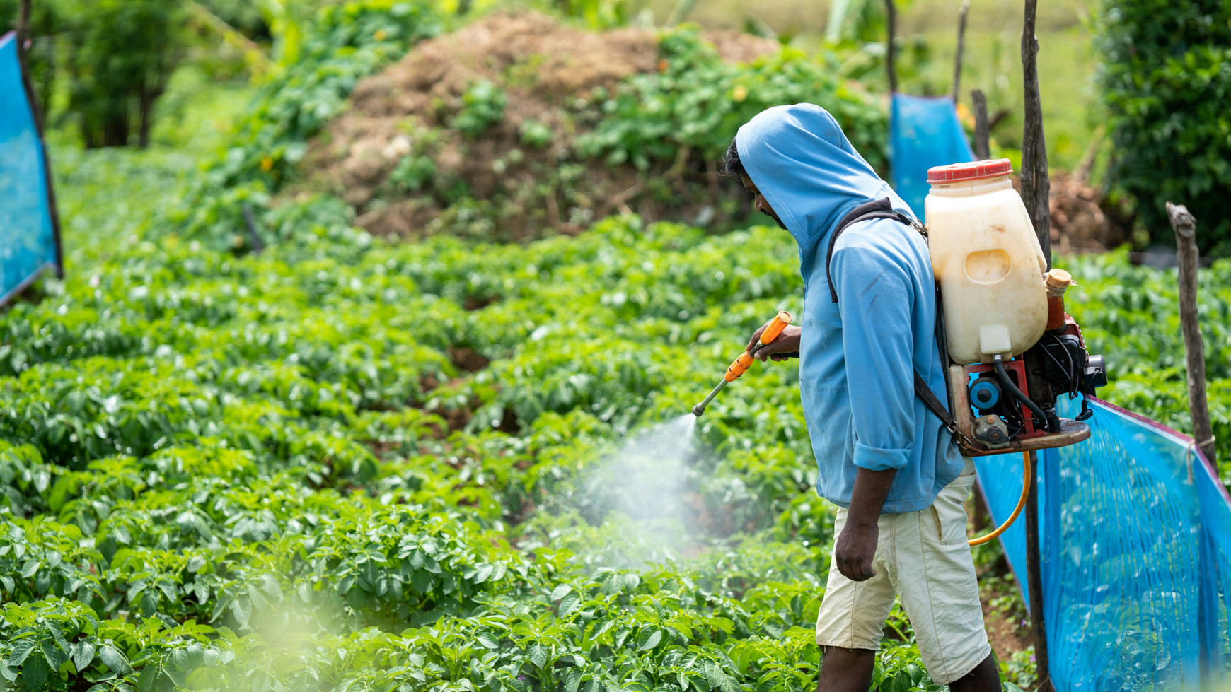 Photo de Dinuka Gunawardana - Pexels Pesticides : l’Europe peut-elle concilier santé, environnement et agriculture ?
