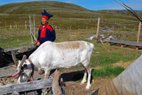 Marie Roué - Les Samis, dernier peuple autochtone d'Europe