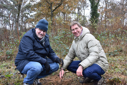 Reforestation citoyenne, objectif : régénérer la forêt européenne