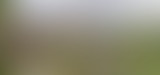 Mappemonde : L'Occitanie