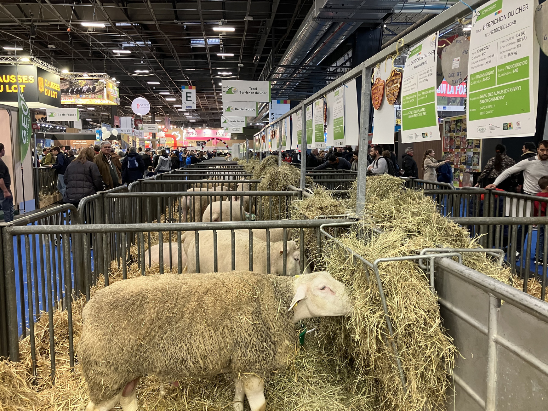 © Lou Surrans Retour sur le 60ème Salon de l'agriculture