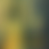 Yummy : aux confluents du psychédélisme