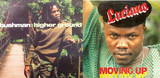 Bam Salute special Bushman & Luciano