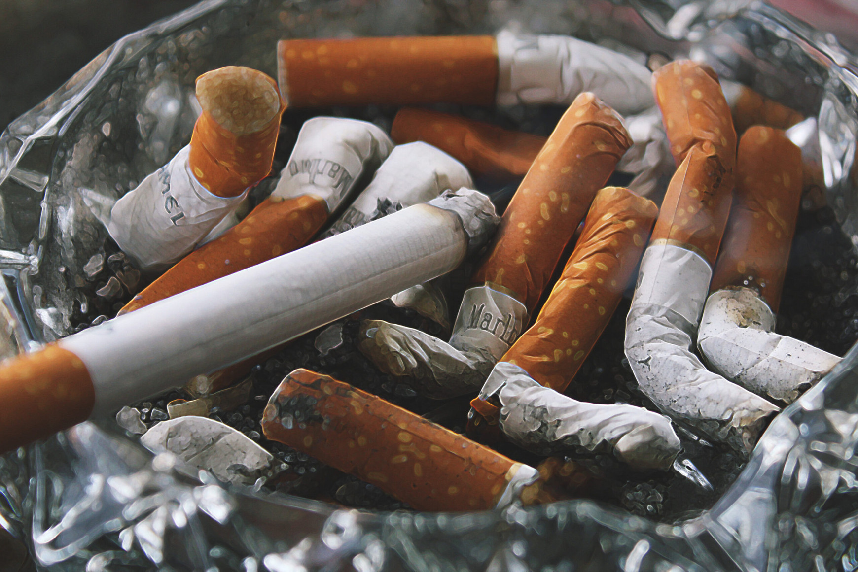 © Creative Commons -  rawpixel.com Surfrider Fondation Europe alerte sur les manquements de l'industrie du tabac