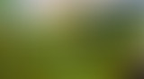 Récréation Sonore : La nature #1  // 9 mai 2021