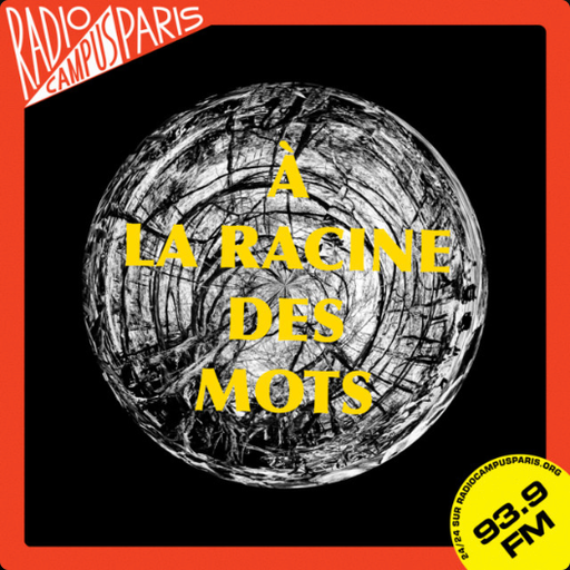 Episode 7 : Festival et Ecologie
