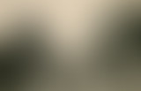L'oeil à l'écoute à la Maison des vergers à Montre...