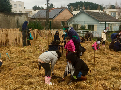 600 arbres plantés en plein coeur de Nantes - Le reportage de Nantes