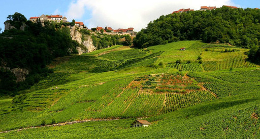 (Podcast) Vin jaune & cie : le vignoble Jurassien