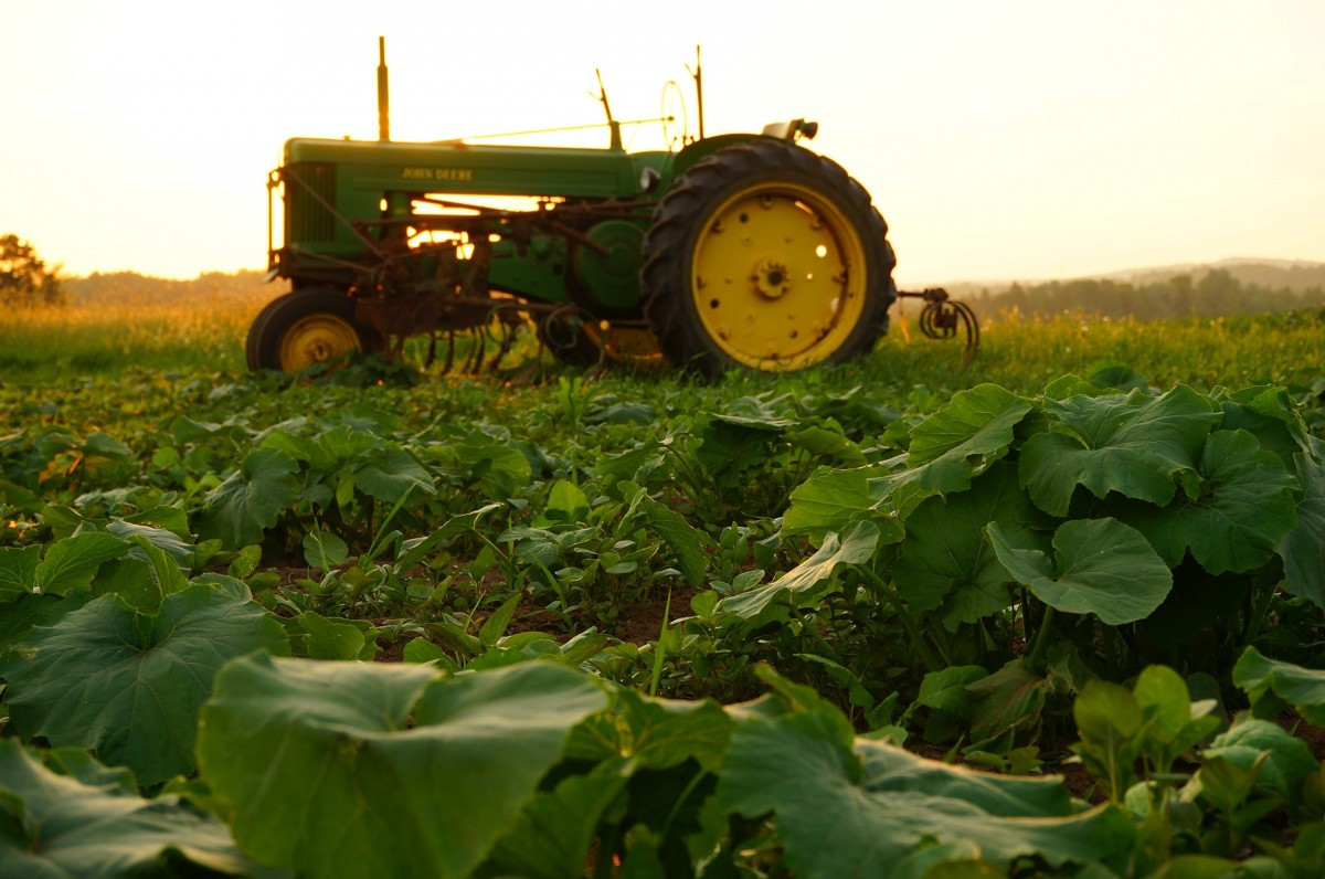 @Photo by form PxHere Les Nouvelles techniques génomiques, avenir de l'agriculture ou nouveaux OGM ?