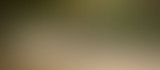 Radio Camping : spéciale pétanque au BarOurcq