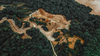 L'impact climatique de la déforestation - Smart for climate #43