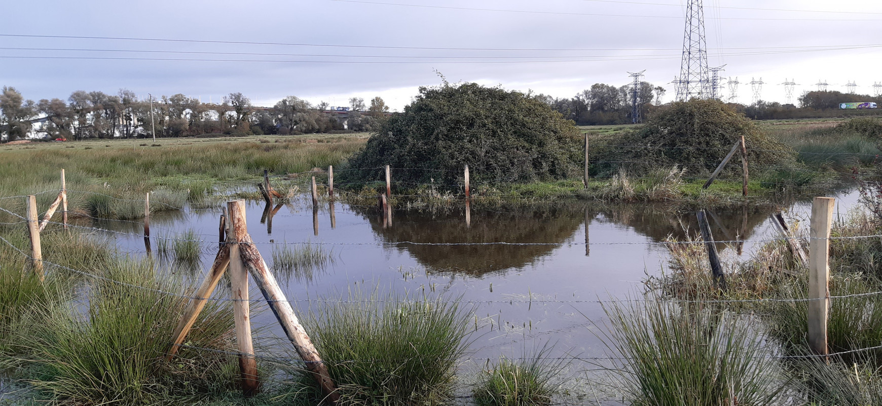 © Sylvain Chauvigné Restaurer la vallée fluviale de Bouguenais en accord avec la directive-cadre sur l'eau - Sylvain Chauvigné