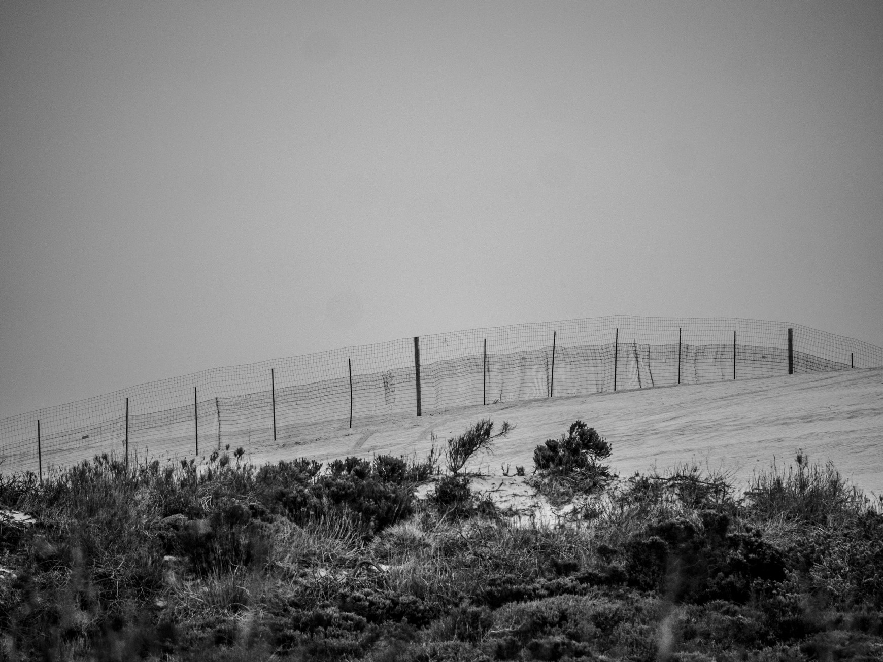 @ Ronan Furuta sur Unsplash Les obligations de quitter le territoire français - OQTF, partie 3